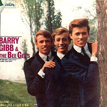 The Bee Gees Sing And Play 14 Barry Gibb Songs