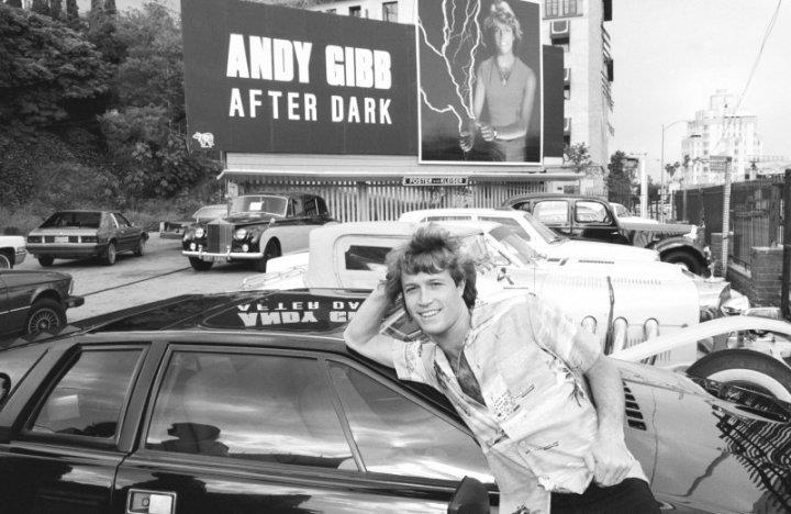 andygibbphoyo-16