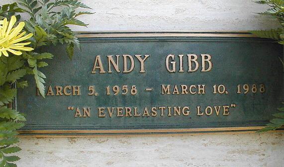 andygibbphoyo-38
