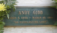 andygibbphoyo-38