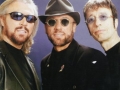 thebeegees