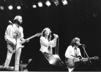 197810