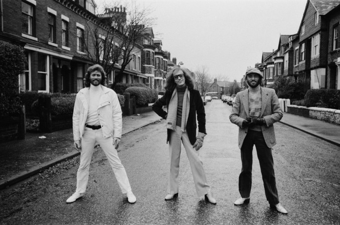 81 6531-020