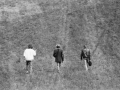 PN008387