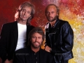 BEE GEES Photographe: Pierre TERRASSON © Dalle APRF
