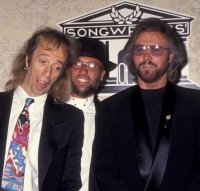 136094512RG064_RobinGibb