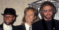 136094512RG065_RobinGibb