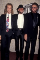 136094512RG070_RobinGibb