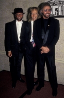 136094512RG072_RobinGibb