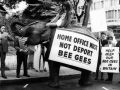Bee Gees