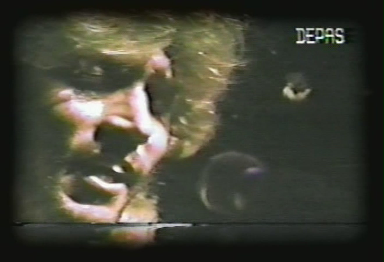 liveintokyo1973-34
