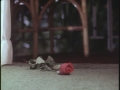 onenight-forlovers-11