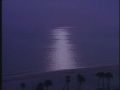 onenight-forlovers-2