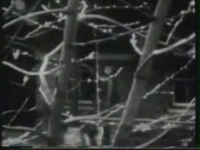 railroad-maurice-11