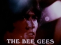 tolovesomebodyclip1967-1