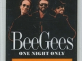 beegees99ornauslam