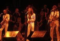 RED081124BEEGEES04_005