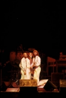 RED081124BEEGEES04_004